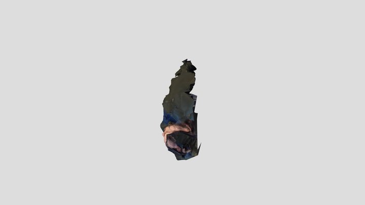 Fede 3D Model