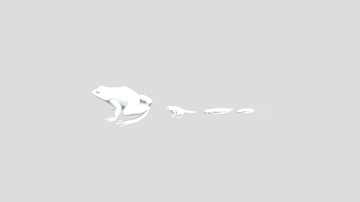 Frog_Evolution 3D Model