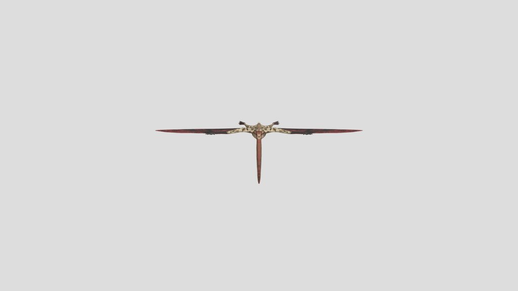 Dinoraul's Pterodaustro
