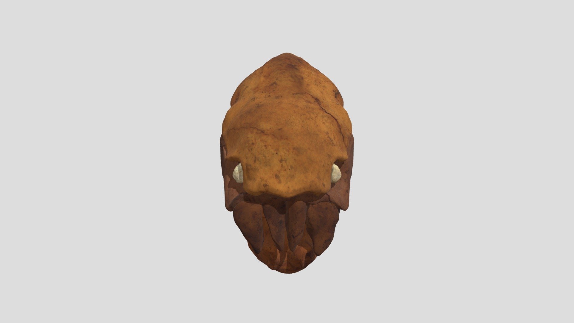 dunkleosteus fossil - Download Free 3D model by sciamop [f9cafff ...