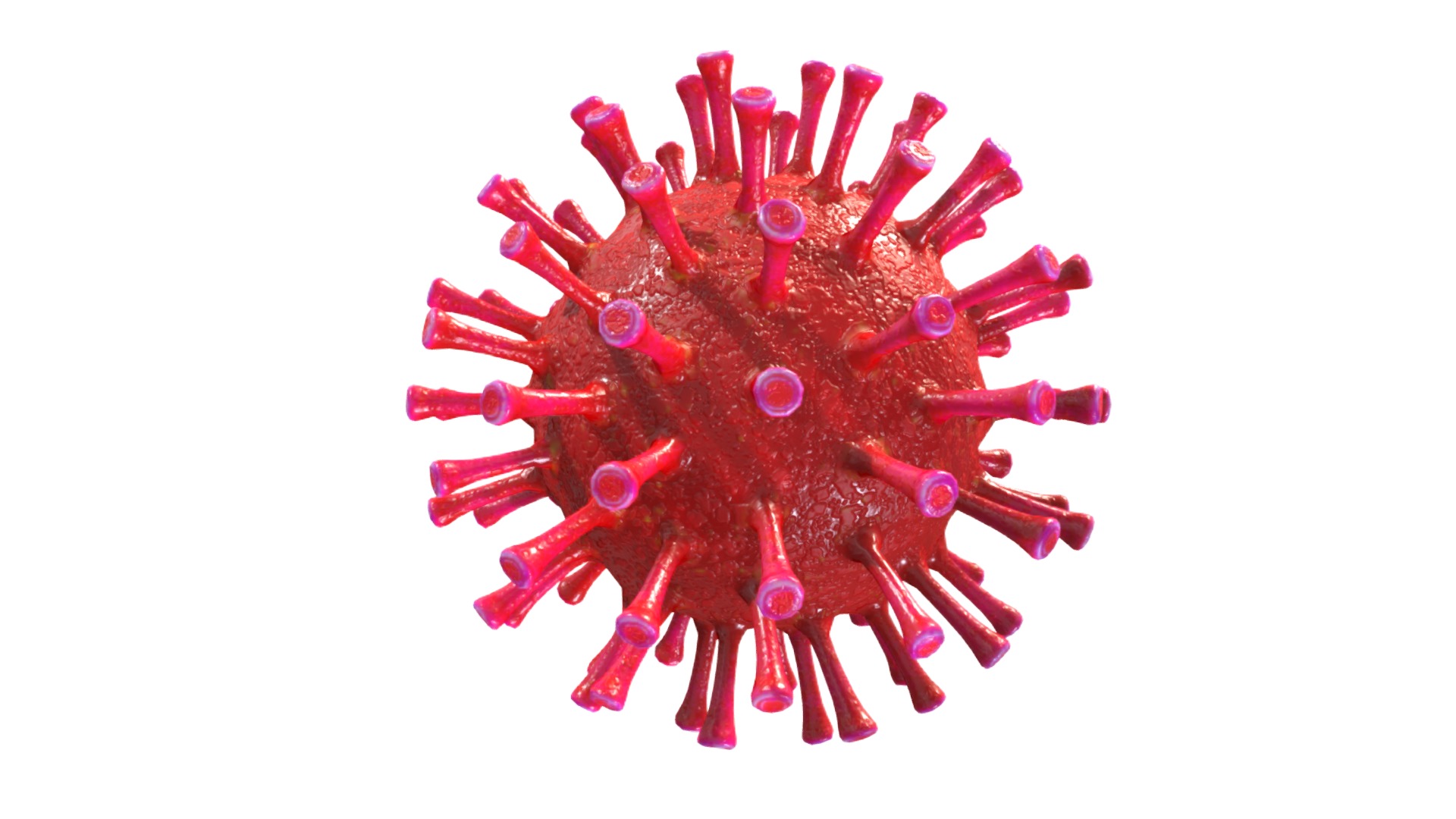3D model Corona Virus Covid 19 - This is a 3D model of the Corona Virus Covid 19. The 3D model is about a red toy with many small red objects on it.