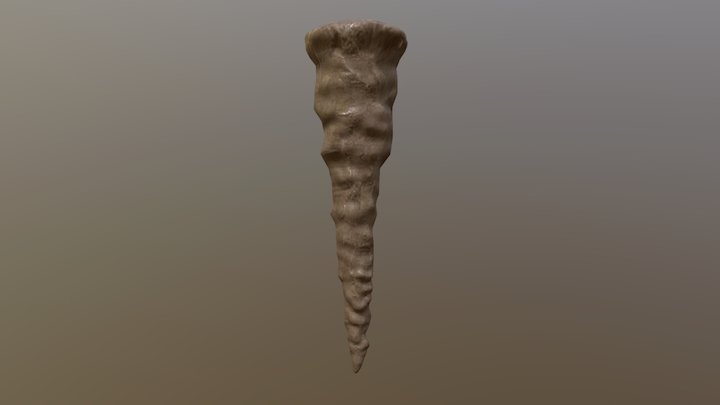 MARGR_MR_STALAGMITE_01 3D Model