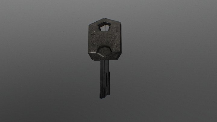Omni Key 3D Model