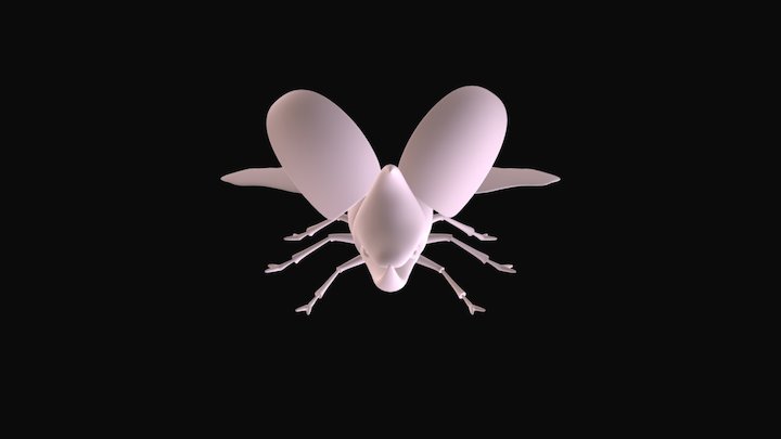 Beetle 3D Model