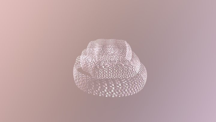 Conchas 3D Model