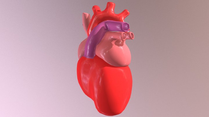 Heart 3D Model
