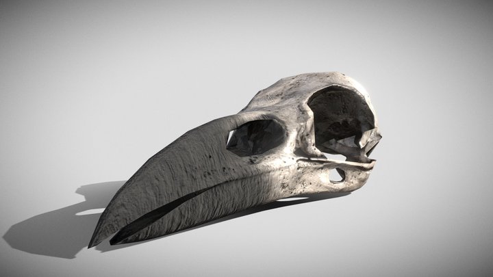 Egyptian Moon God Khonsu Skull 3D Model