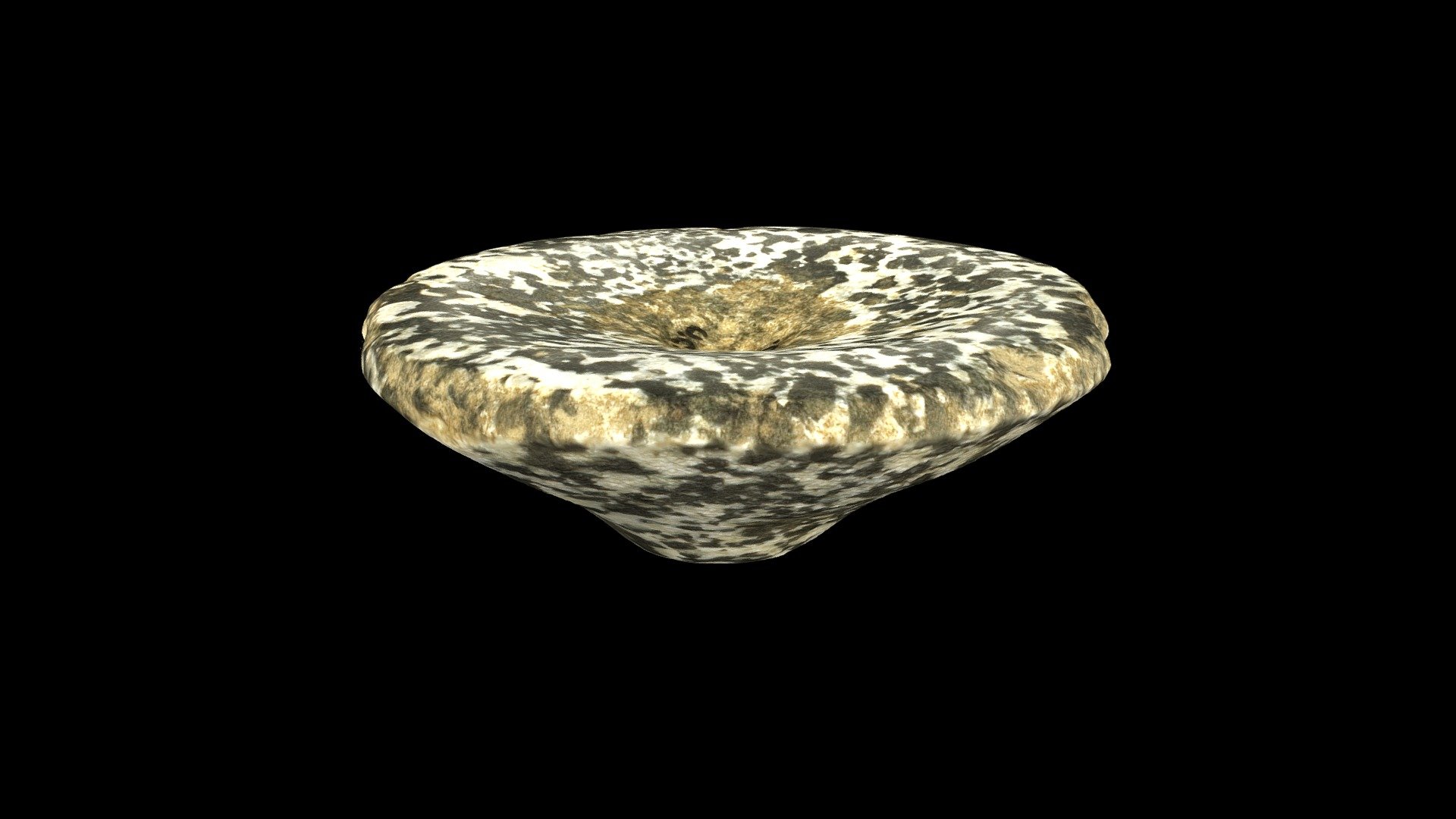 Predynastic Macehead, Petrie Museum, London