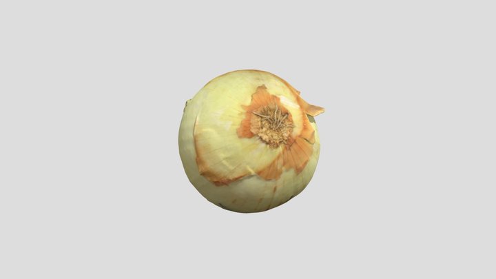 onion_2 3D Model