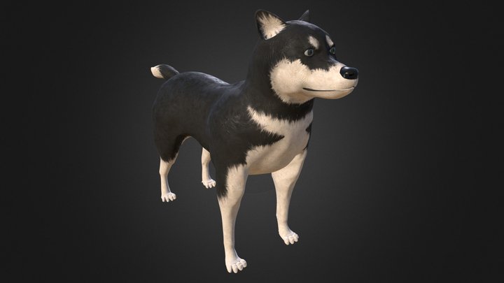 Chien / Dog (Bind pose) 3D Model