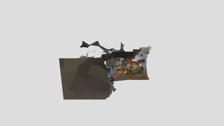BYU Torvo 3D Model