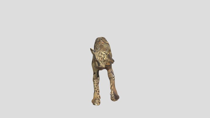 Cheetah (1) 3D Model