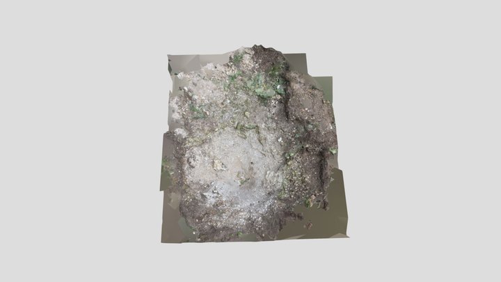 Cholderton trench 2 with step 3D Model
