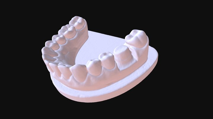 Tooth mode by Thunk3D Cooper C20 3D Model