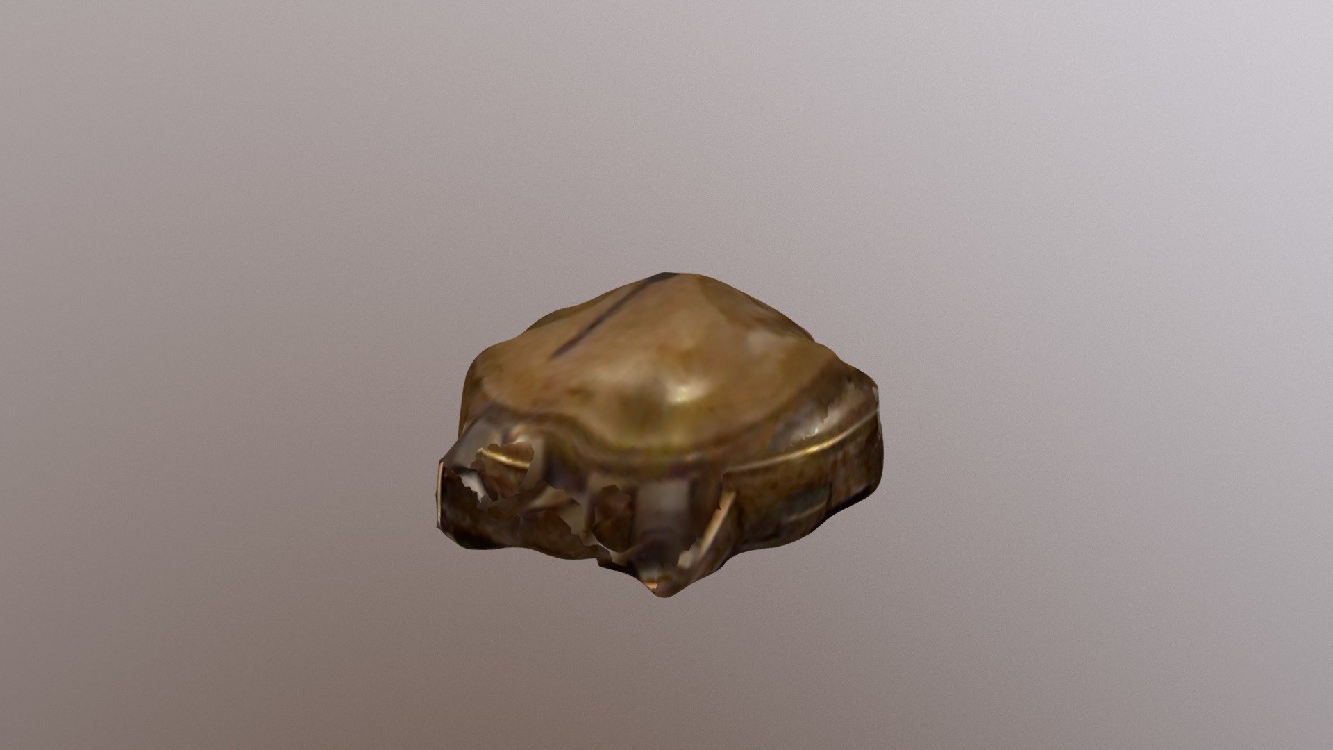 New Qlone