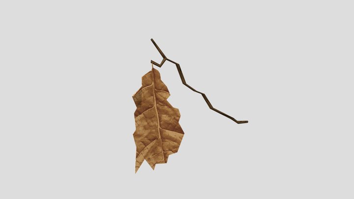 Dead Leaf