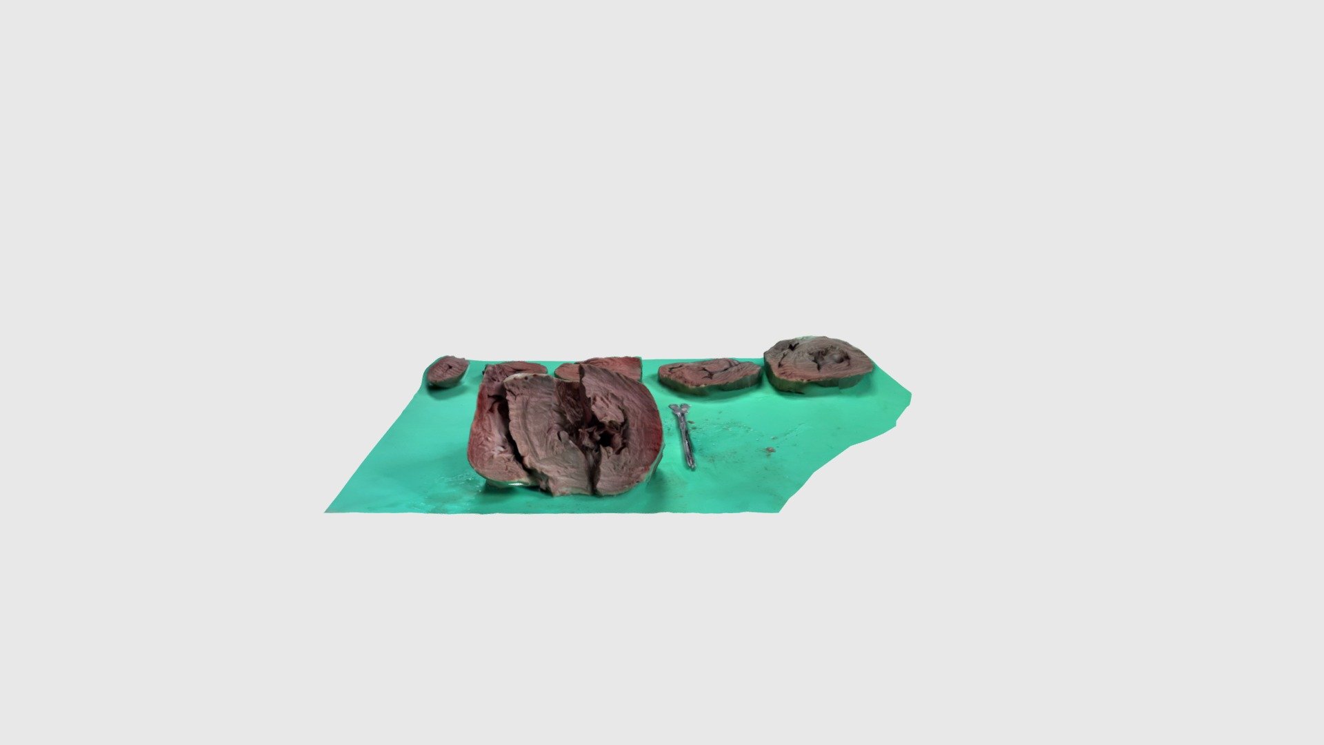 Scaniverse Model - Download Free 3D model by The Center for Digital ...