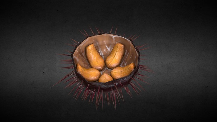Sea Urchin (Half) 3D Model