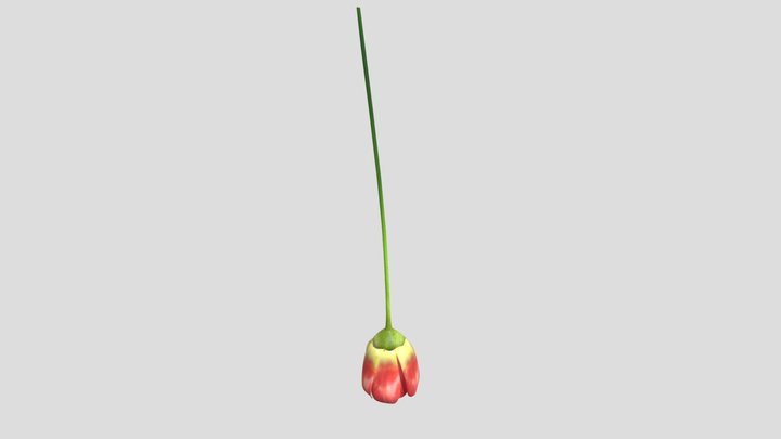 Red Tulip Flower On Gold Wire Vase – Free 3D Model STL