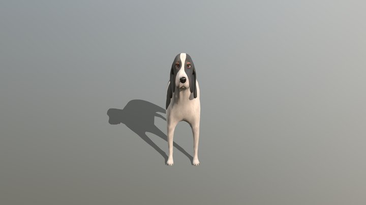 English cocker spaniel dog: Biba 3D Model