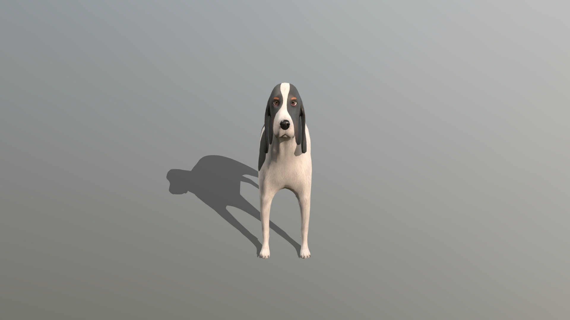 English cocker spaniel dog: Biba - 3D model by   (@) [f9f83c0]