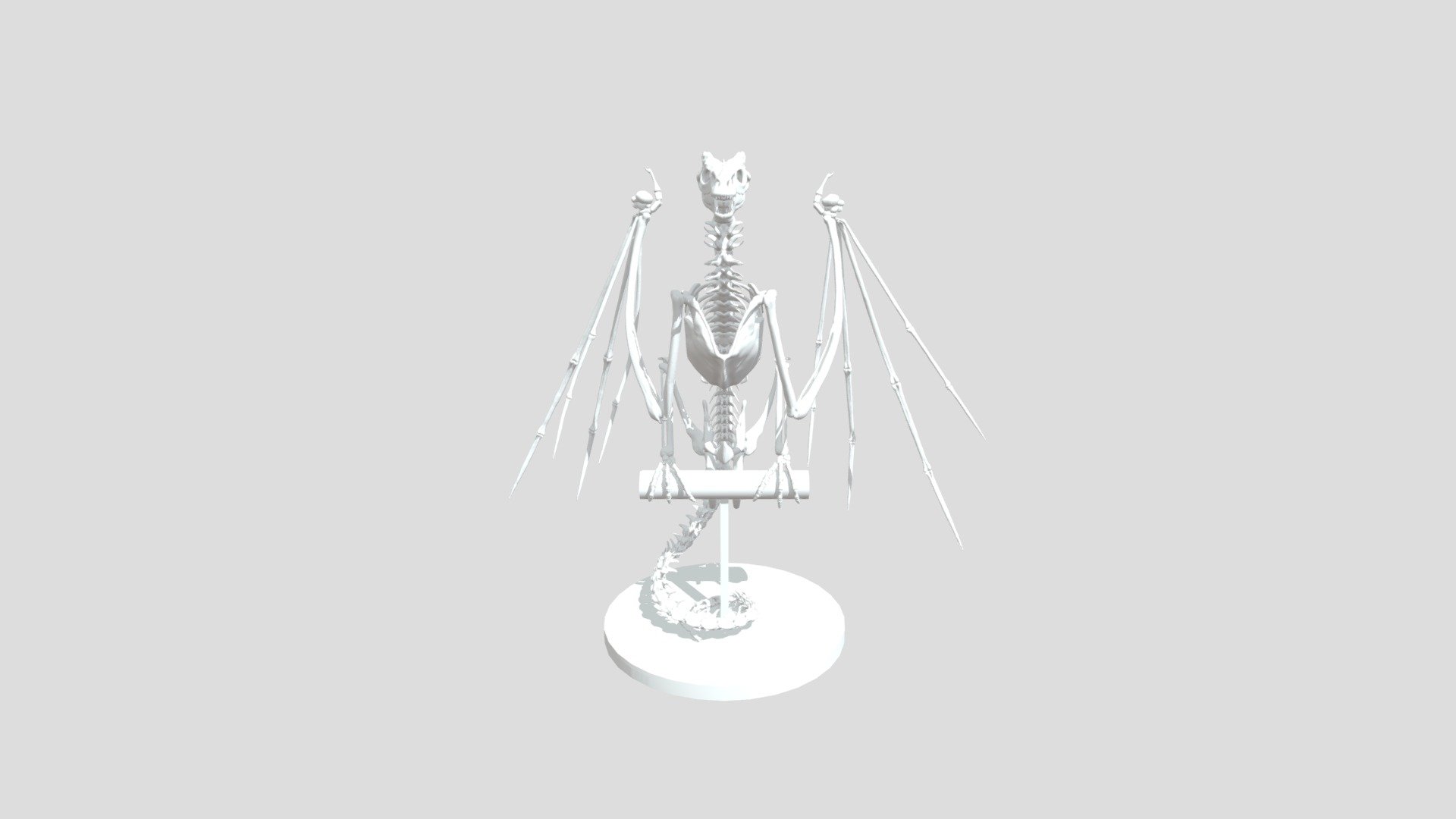 Posed Wyvern Skeleton - 3D model by Alzucifer_Noark (@hayley.kluin ...