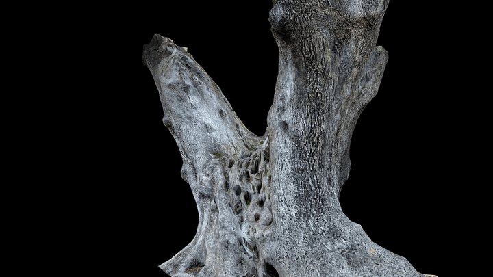 Lofos Strani 3D Model