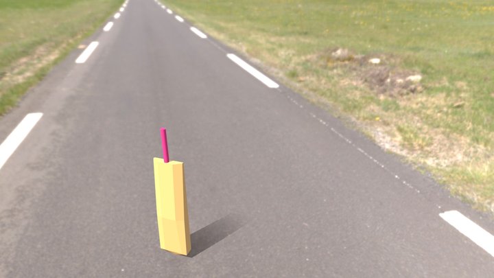 cricket bat 3D Model