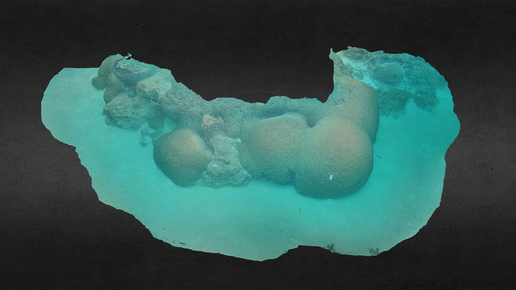 Coral Reef Transect (tag OT-GB_3d)