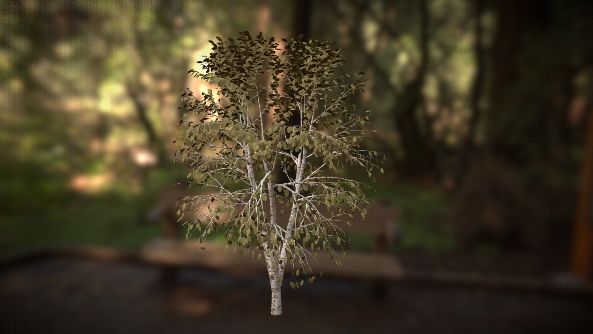 Tree (Free download)