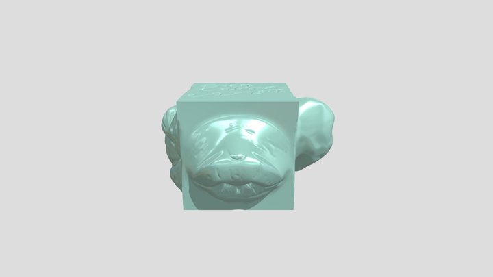 EricaCalihua_AnatomyCube-004 3D Model