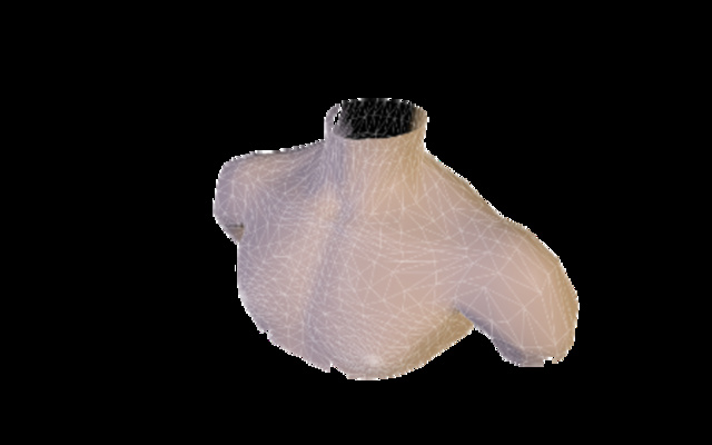 cuello3 3D Model