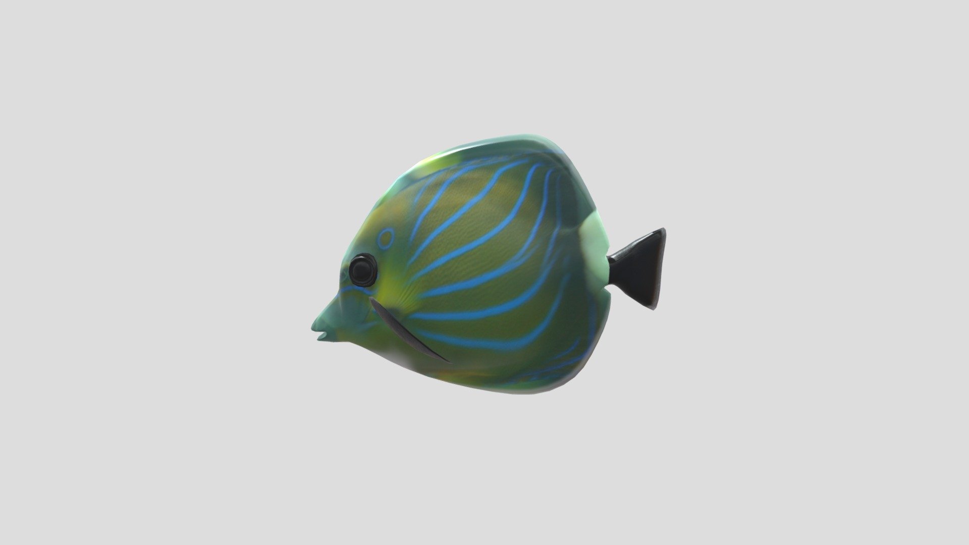 Sanchez__Fish