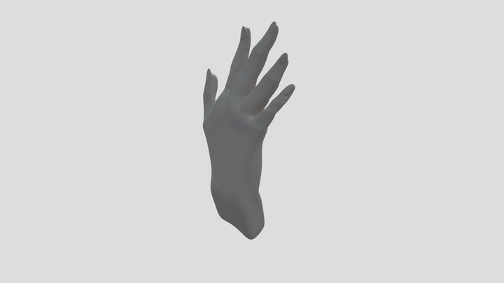 Práctica mano. 3D Model