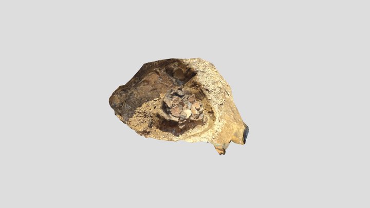 Finds 18_04_2025 3D Model