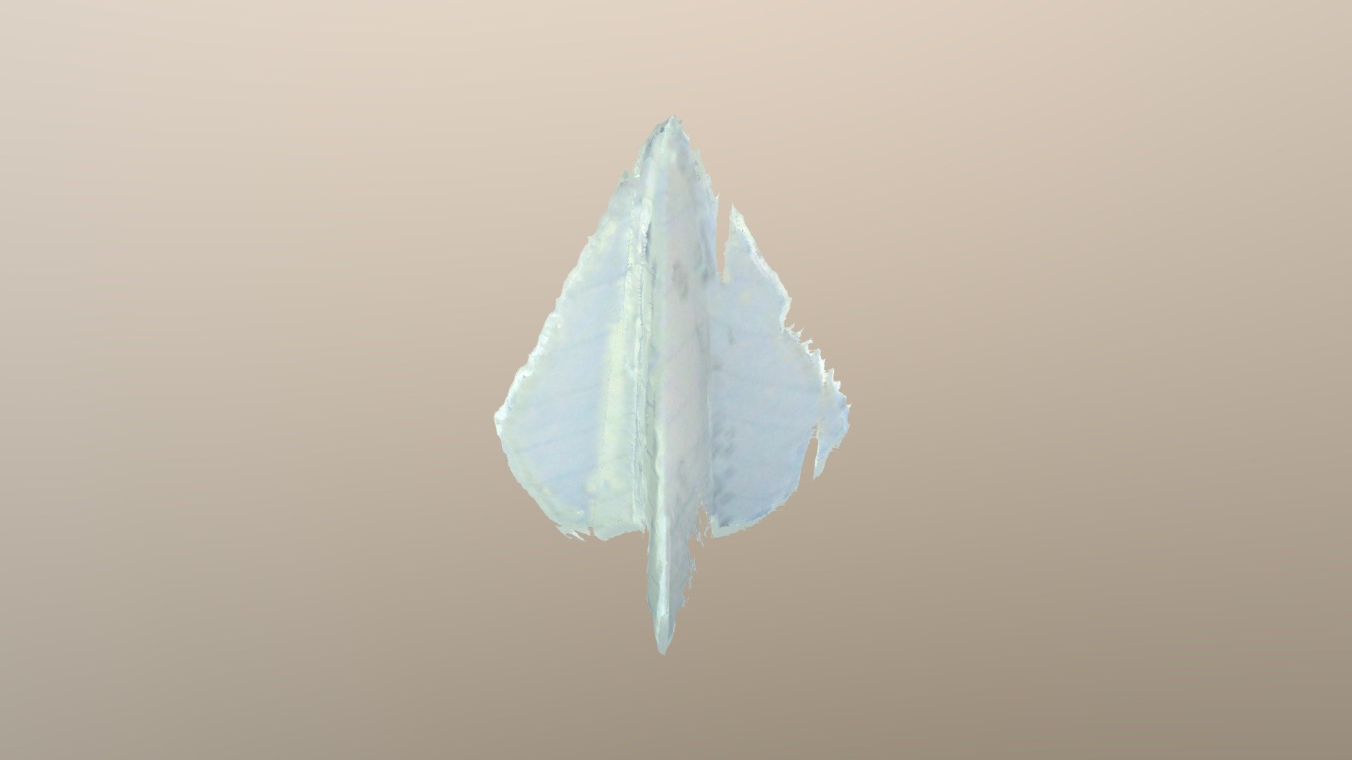 New Qlone