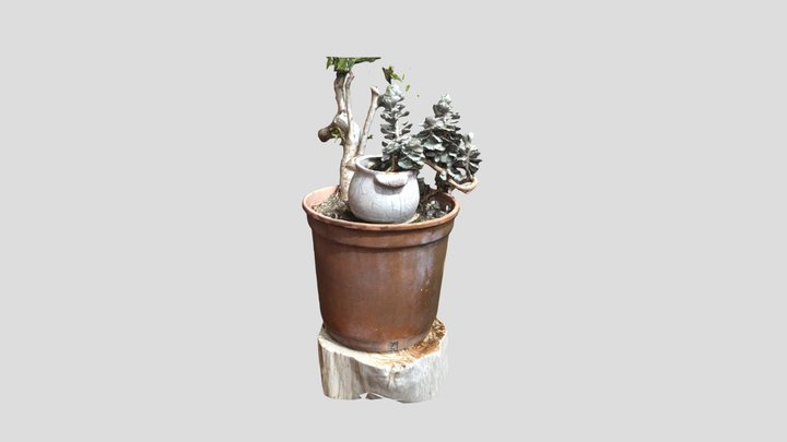 Flower 3D Model