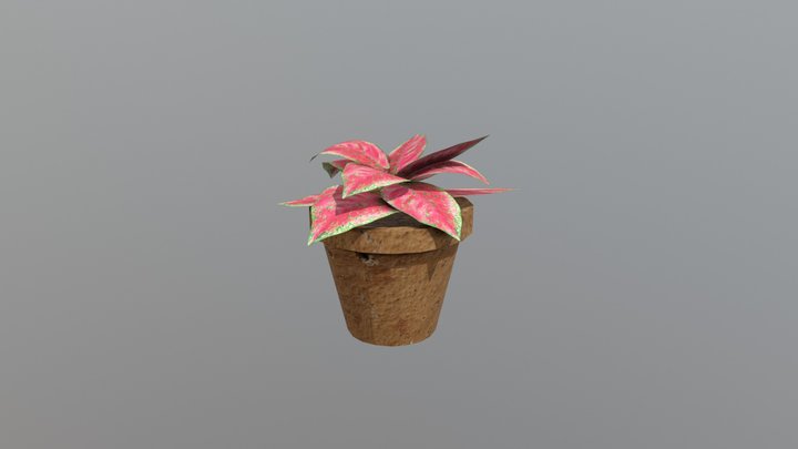 Potted Plant 3D Model