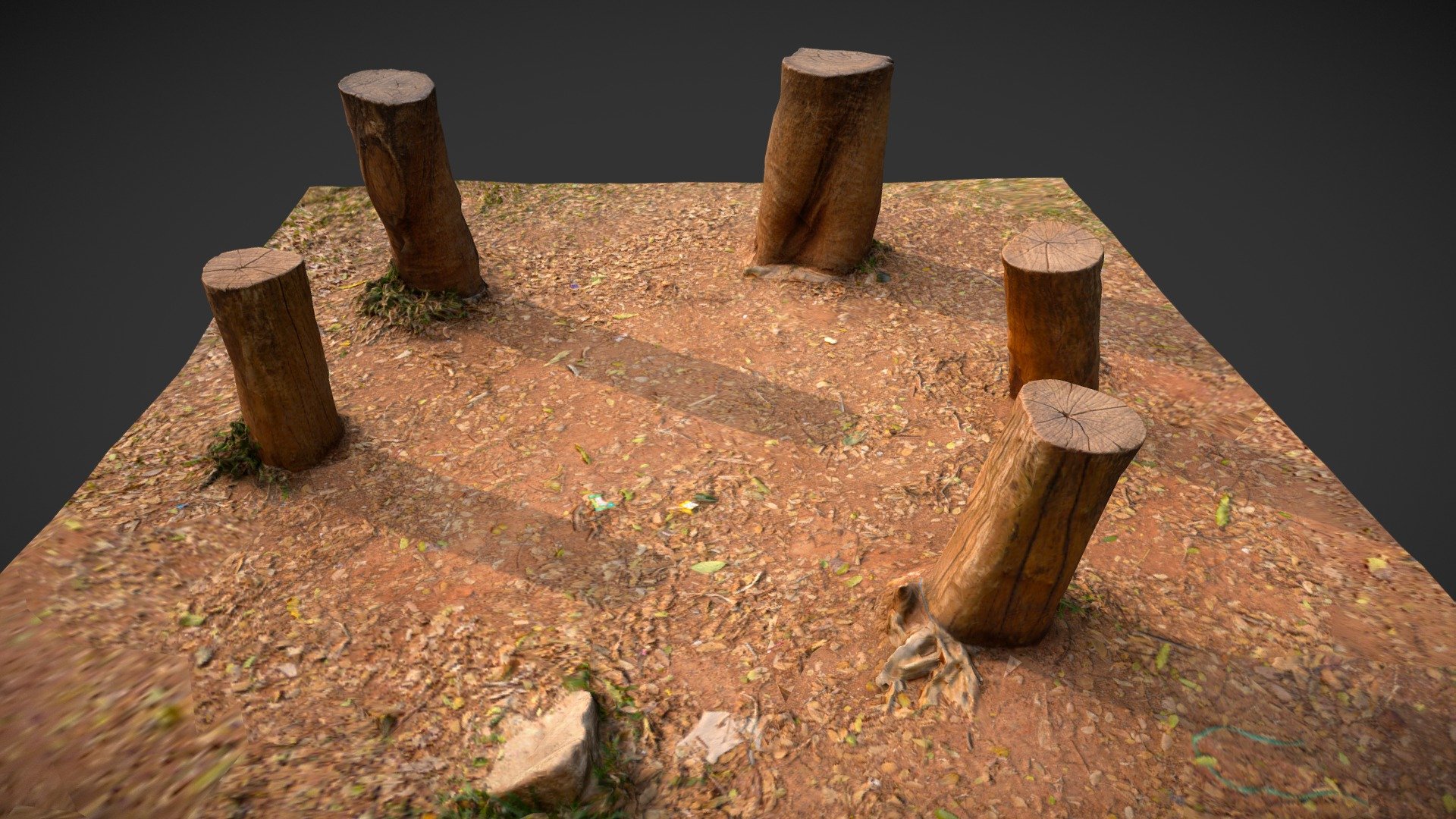 Naked Tree Stumps