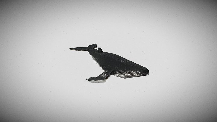 Humpback Whale - low poly 3D Model