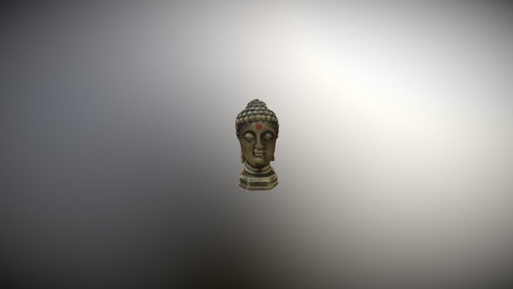 Face 3D Model