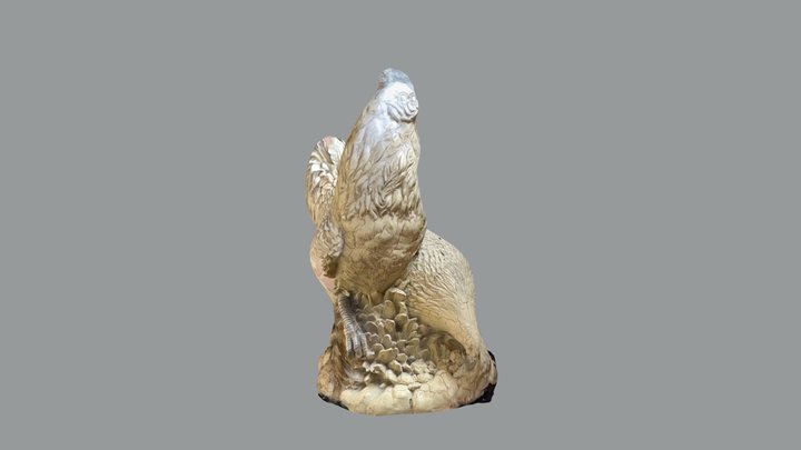 Chickens couple 3D Model