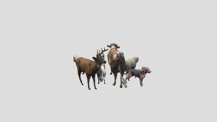 Animal_pack_vol_1 3D Model
