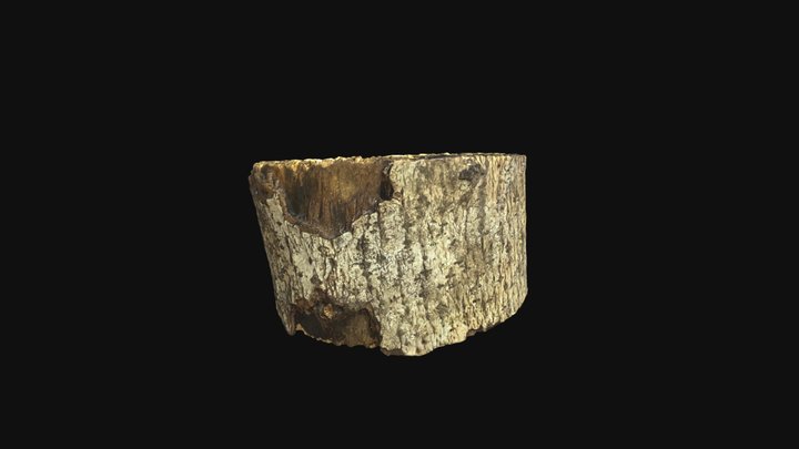Piece of wood 3D Model