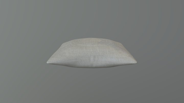 Cushion 3D Model