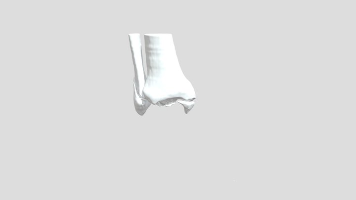 CAMBRE ALEJANDRO 3D Model