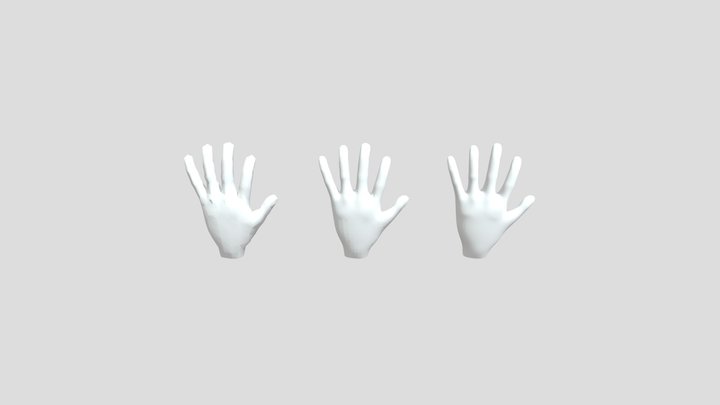 Hand 3D Model