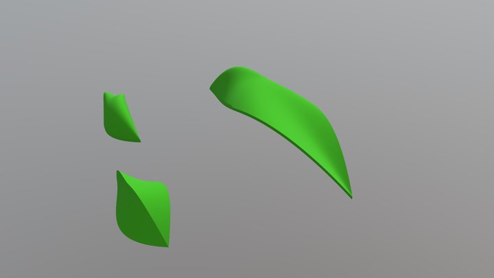 Leaf Canopy 3D Model