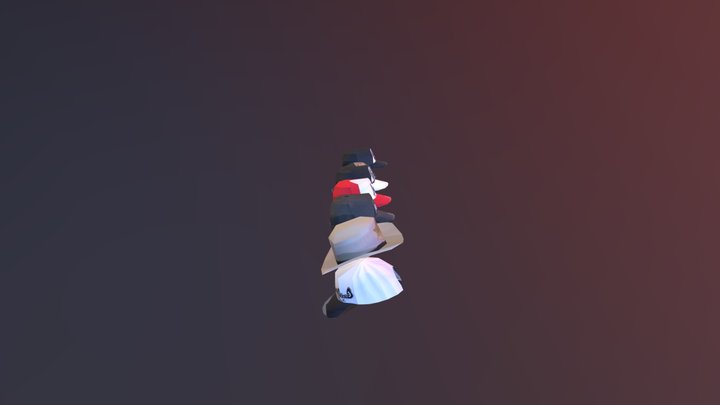 Hats 2 3D Model