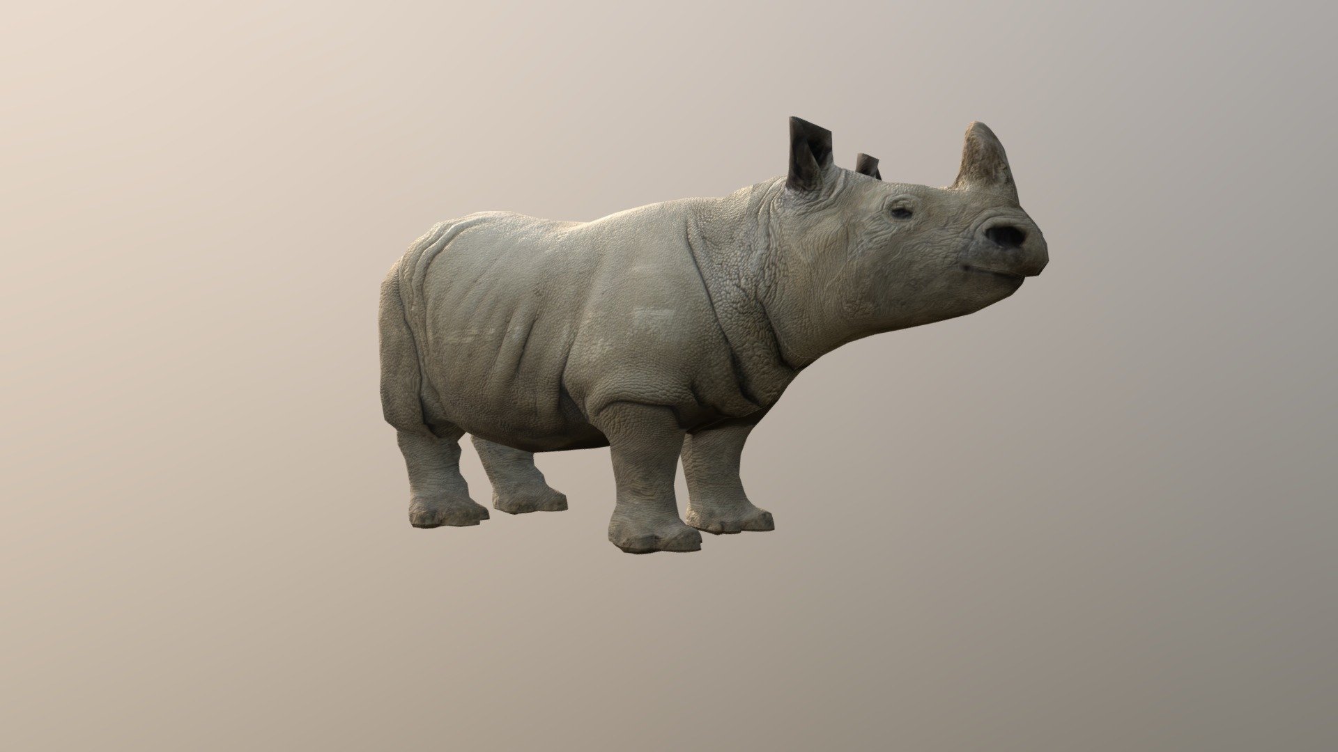 buy rhino 3d